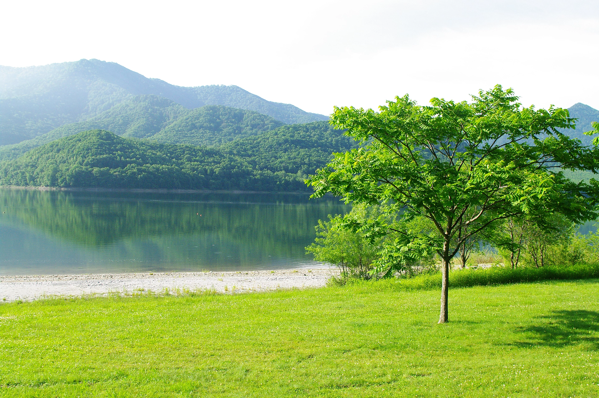 北海道の田園風景