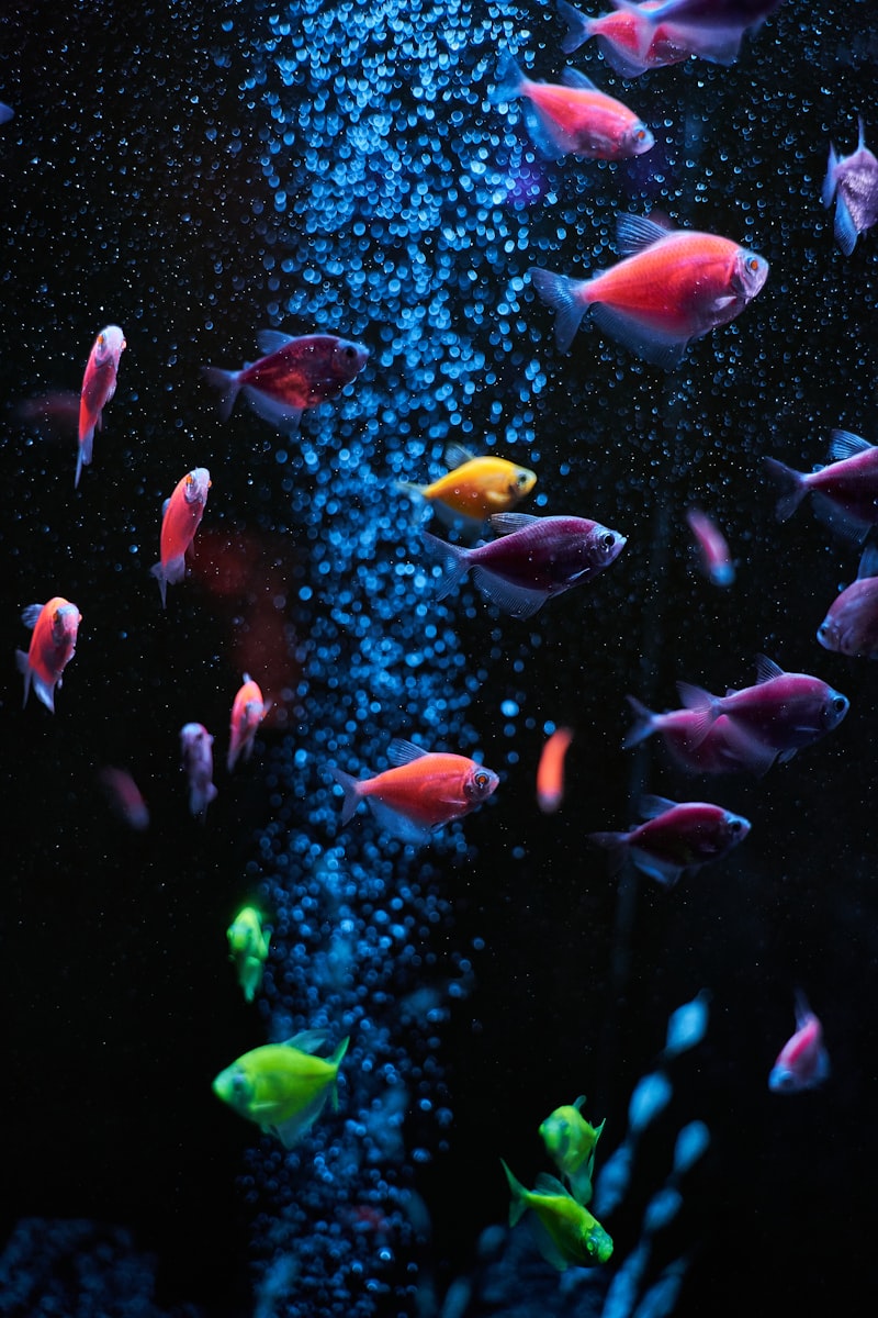 水族館